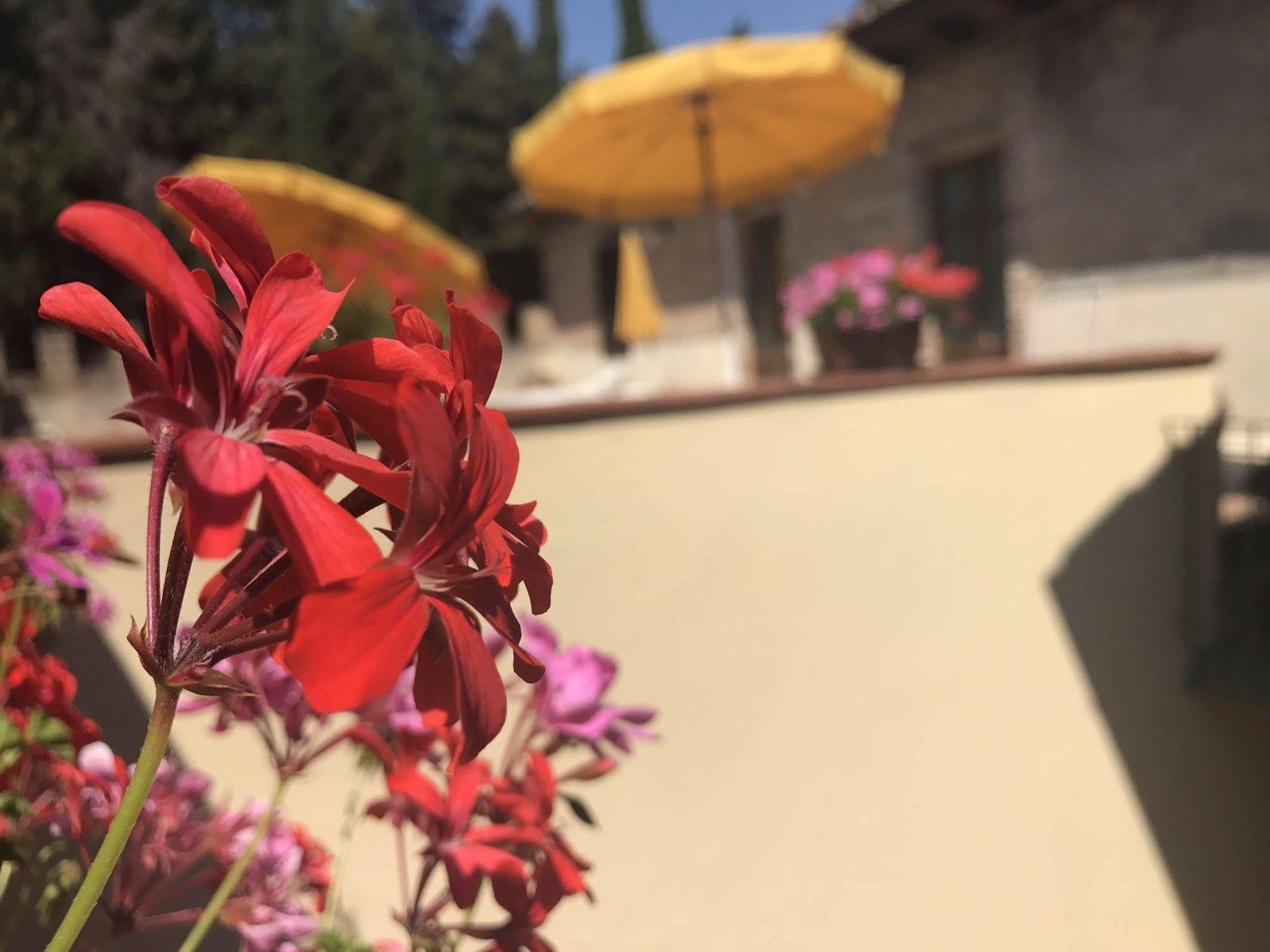 몬테스페르톨리 Castello Di Fezzana 아파트 외부 사진